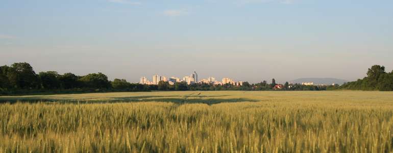 Wiener Landwirtschaft.jpg © LK Wien Wiener Landwirtschaft.jpg © LK Wien