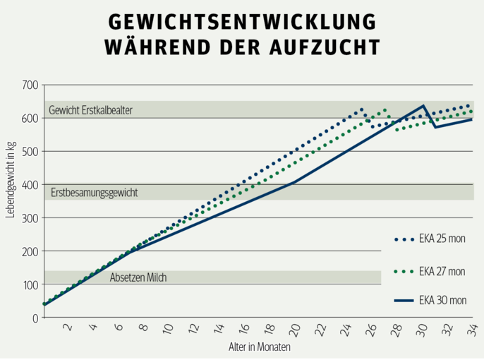 Bildschirmfoto 2019-12-09 um 08.24.16.png