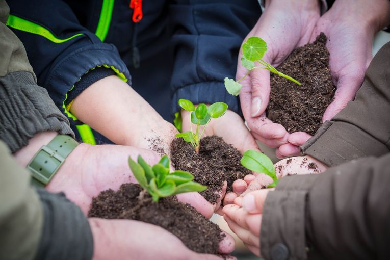 Landwirtschaftliche Projekte.jpg