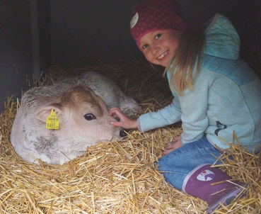 Mädchen mit Kalb.jpg © Lea Singer Mädchen mit Kalb.jpg © Lea Singer