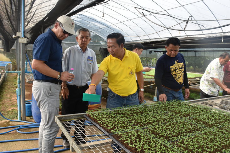King-Thong-Farm in Thailand.jpg King-Thong-Farm in Thailand.jpg