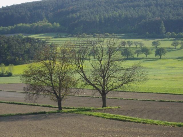 Wiesen und Äcker.jpg © BBK Neunkirchen Wiesen und Äcker.jpg © BBK Neunkirchen