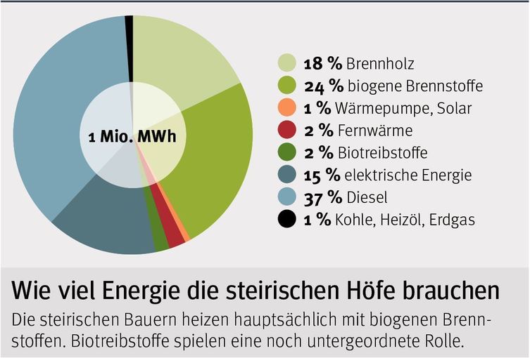 Energieverbrauch steirische Höfe.jpg