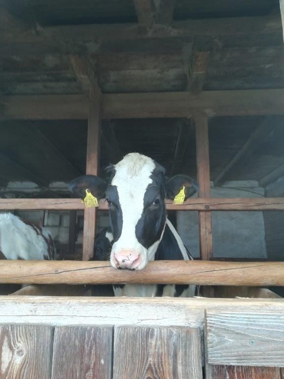 NÖ Milchbauern auf Lehrfahrt in der Oststeiermark