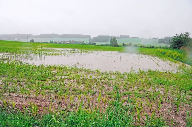 Unwetterschäden.jpg Unwetterschäden.jpg