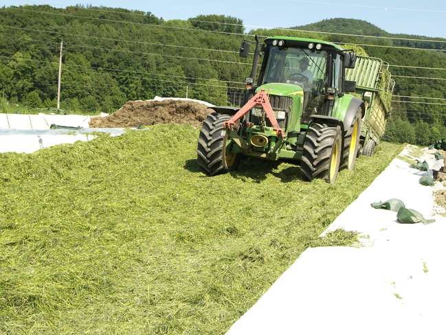Silage.jpg Silage.jpg
