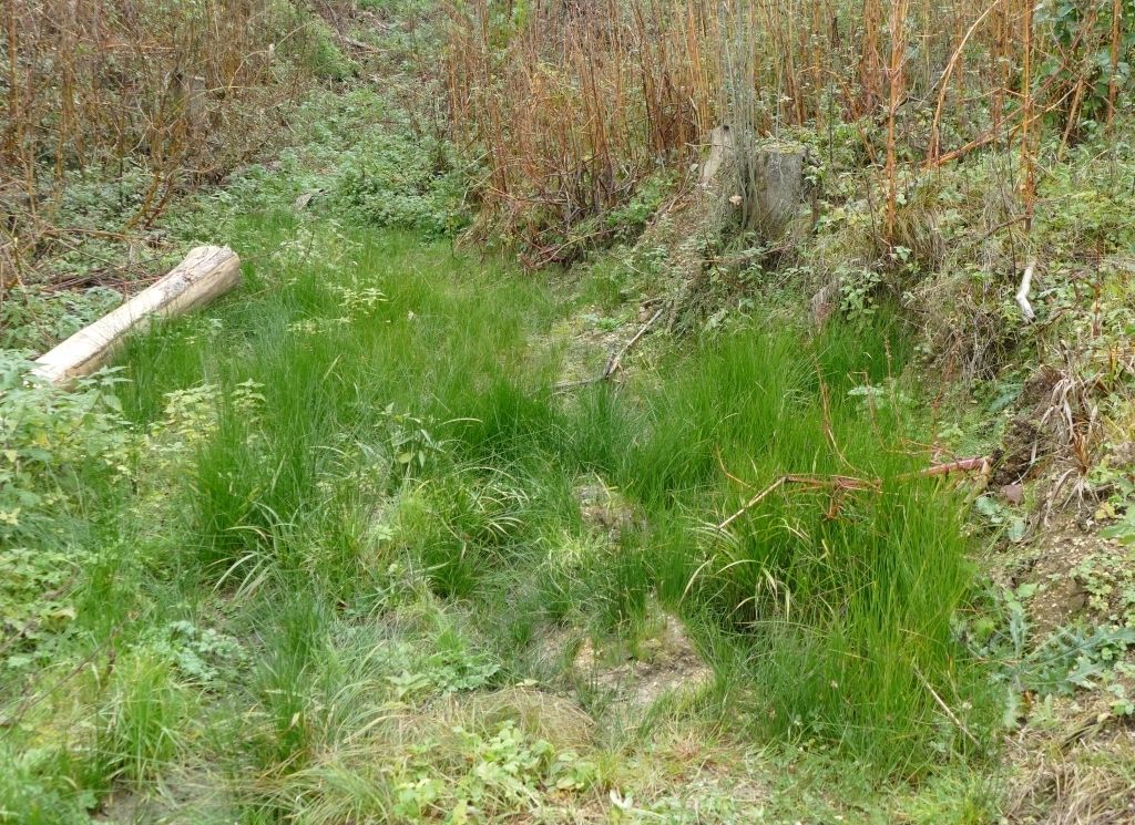 Aufgehende Quelle.jpg © LK OÖ/Zaussinger Aufgehende Quelle.jpg © LK OÖ/Zaussinger