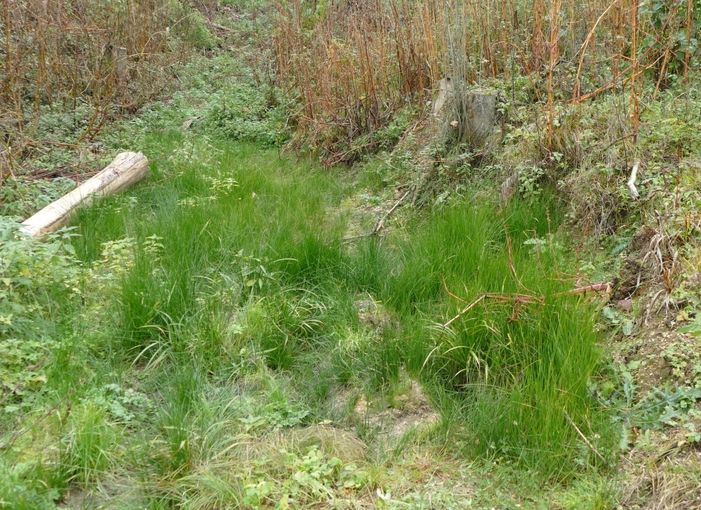 Aufgehende Quelle.jpg © LK OÖ/Zaussinger Aufgehende Quelle.jpg © LK OÖ/Zaussinger