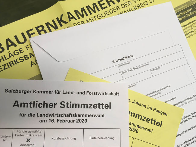 Briefwahlkarte.jpg Briefwahlkarte.jpg