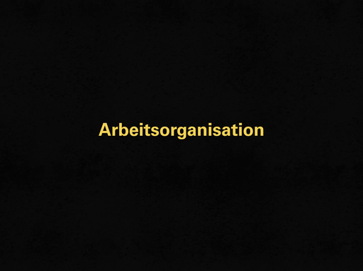 Screenshot LKO Arbeitsorganisation Video Web.png