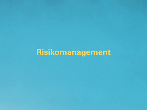 Screenshot LKO Risikomanagement Video Web.png