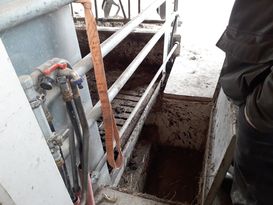 Bild 2 kleine Melkgrube im Trockensteherbereich erleichtert das Melken direkt nach der Geburt – mit Deckel abdeckbar .jpg Bild 2 kleine Melkgrube im Trockensteherbereich erleichtert das Melken direkt nach der Geburt – mit Deckel abdeckbar .jpg