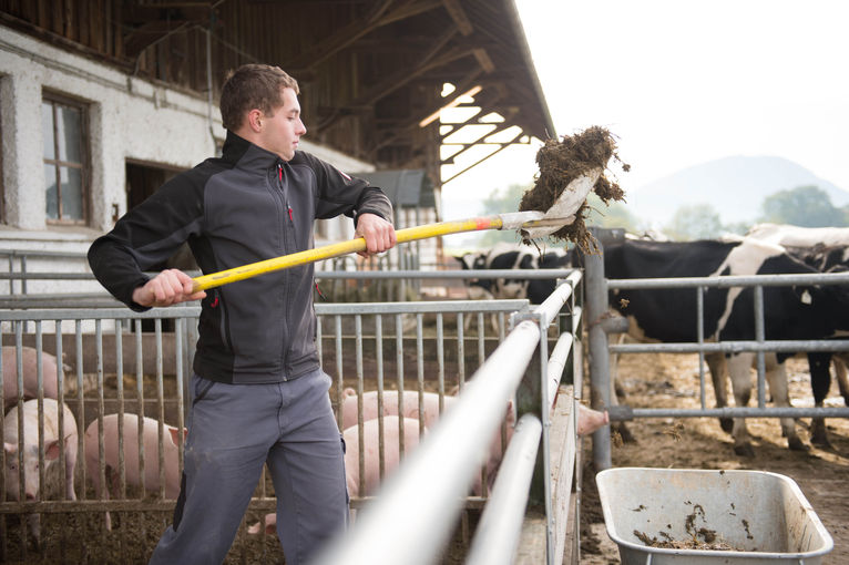 Landwirtschaft_BFLA © Arthur Braunstein Landwirtschaft_BFLA © Arthur Braunstein