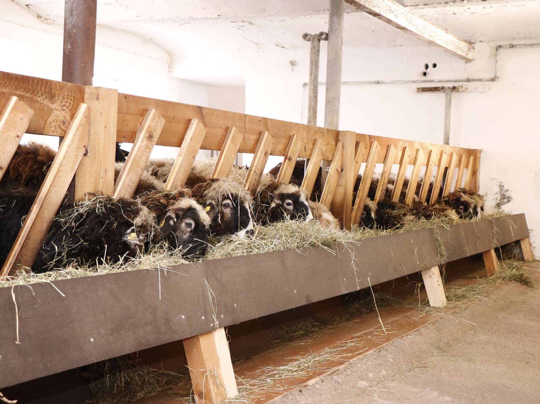 Voglhütte.jpg © Kronreif Voglhütte.jpg © Kronreif