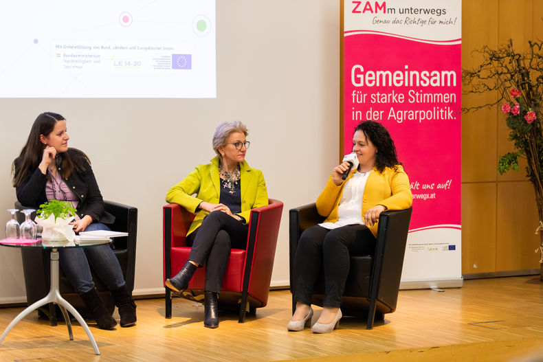 ZAM-Vernetzungstreffen in Linz © LK Österreich - APA-Fotoservice -Greindl