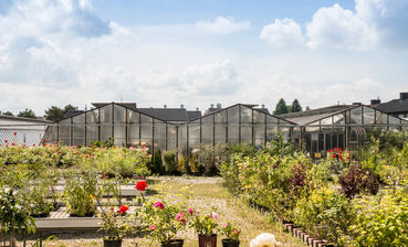 Gartenbau.jpg © www.karinnussbaumer.com