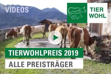 tierwohlpreis_2019_videos_substart © LK Tirol