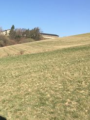 Abgetrockneter Festmist im Frühjahr.jpg