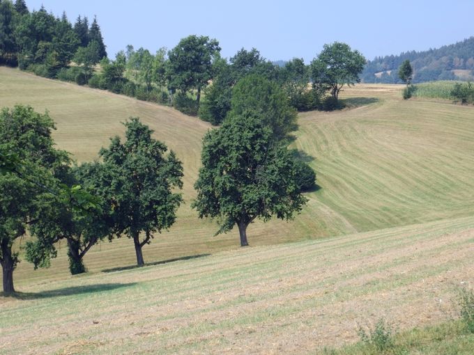 11-1.jpg © Christoph Zaussinger/LK Oberösterreich