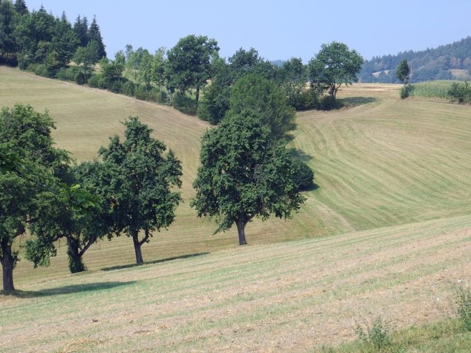 11-1.jpg © Christoph Zaussinger/LK Oberösterreich 11-1.jpg © Christoph Zaussinger/LK Oberösterreich