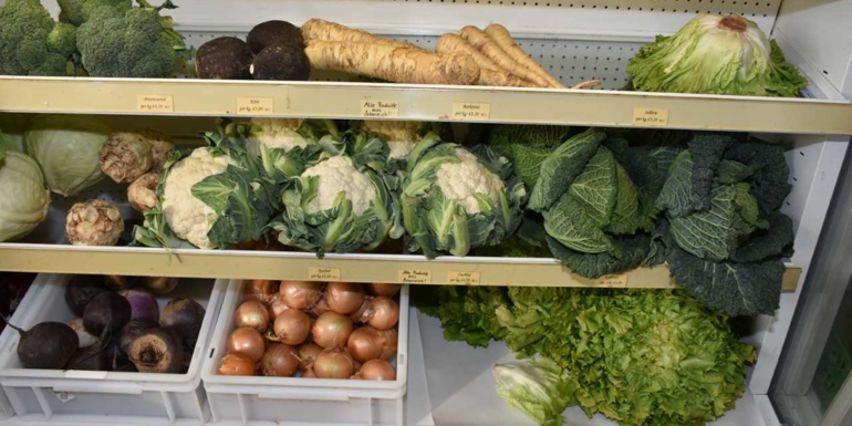 Gemüse.png © LK Burgenland Gemüse.png © LK Burgenland