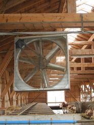 Axialventilatoren sind noch immer am gängigsten.jpg © LK OÖ, BRH