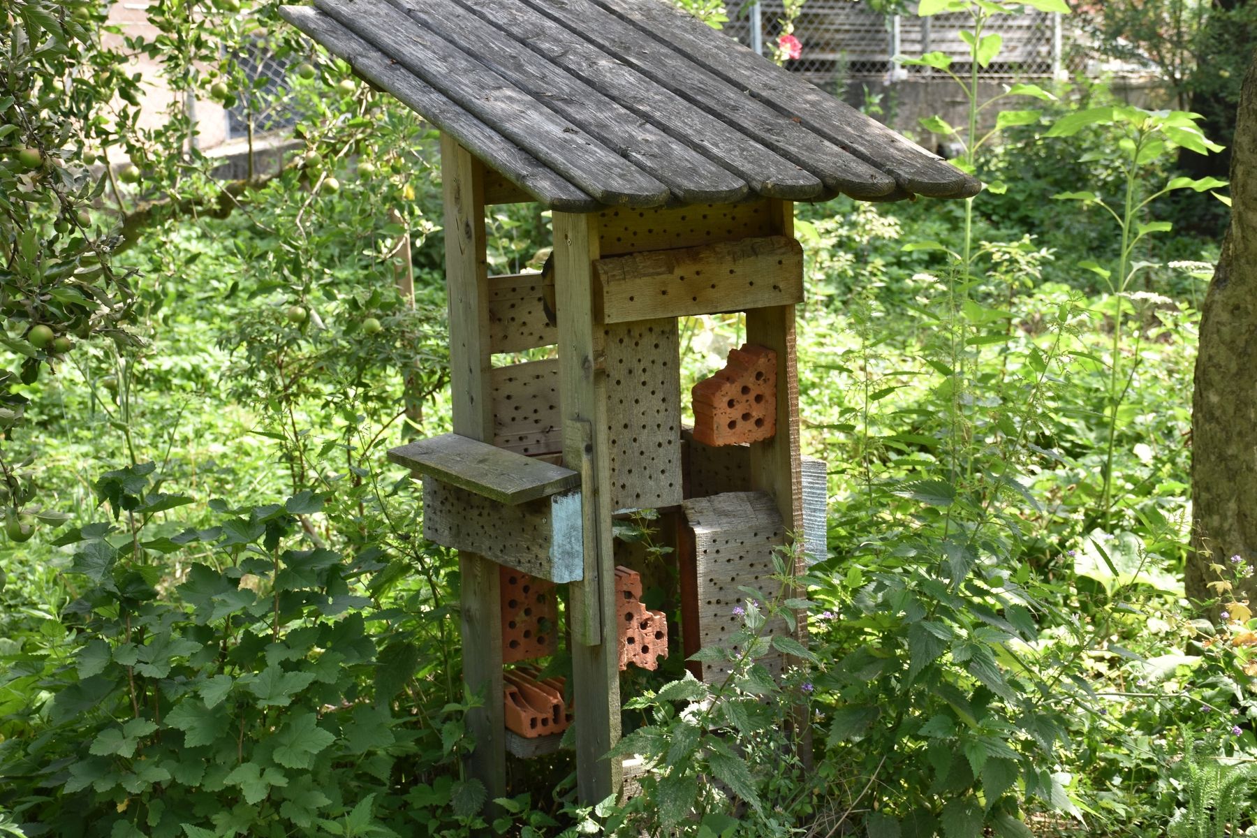 Wildbienenhotel,_Bienenzentrum_OÖ.jpg © Bienenzentrum OÖ Wildbienenhotel,_Bienenzentrum_OÖ.jpg © Bienenzentrum OÖ