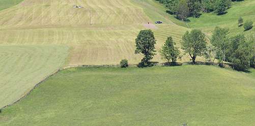 Bauernhof.jpg © Peter Schießling Bauernhof.jpg © Peter Schießling
