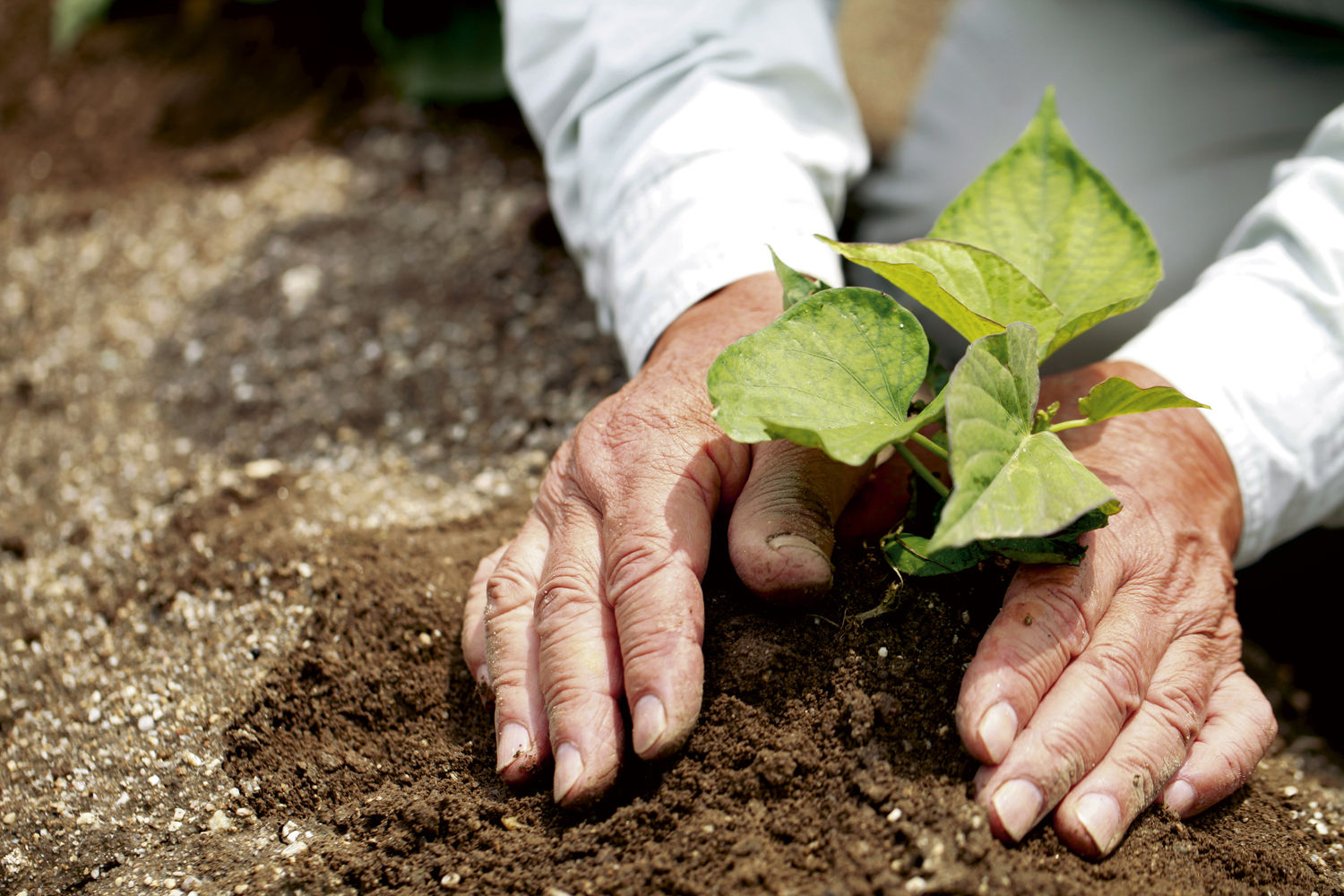 Green Care Betriebsentwicklung.jpg © iStock Green Care Betriebsentwicklung.jpg © iStock