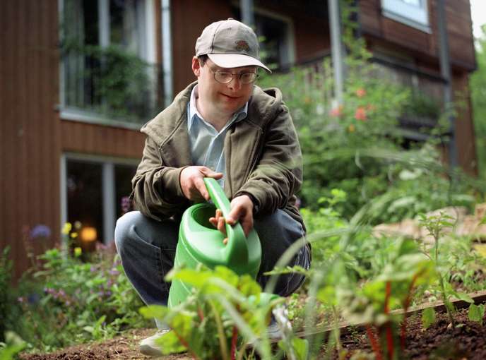 Das ist Green Care.jpg © Mika Corbis