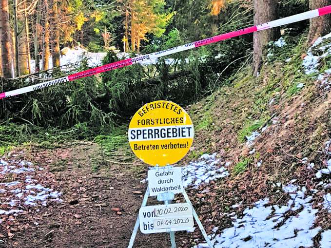 Waldarbeiten.jpg © Lienbacher