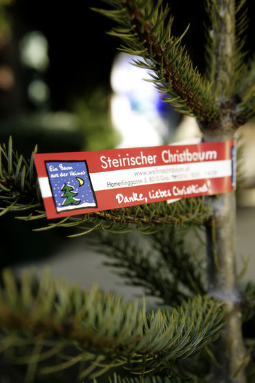 Banderole Detailaufnahme Christbaum 1.jpg