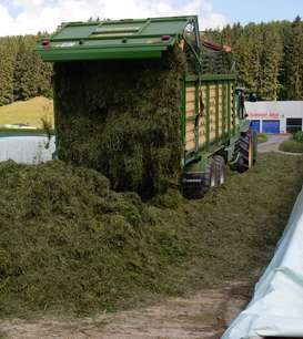 Kurzschnitt LW Gärfutter.jpg Kurzschnitt LW Gärfutter.jpg