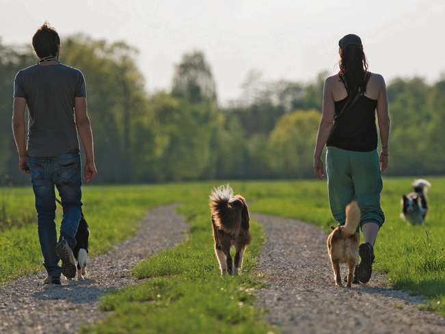 Hundebesitzer.jpg Hundebesitzer.jpg