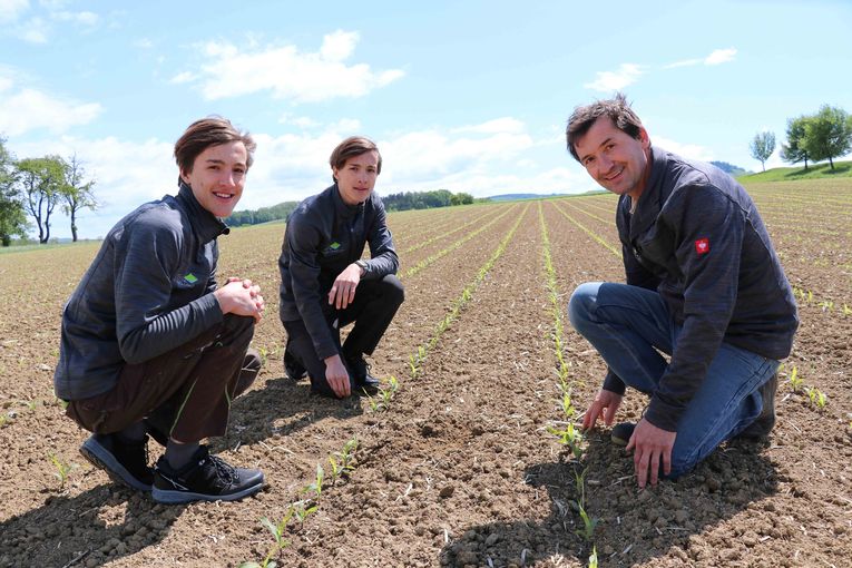 Reportage Pfeffer am Feld