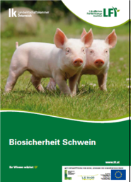 Schwein 3.png