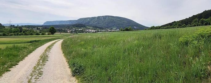 Web-Bio-Rechtsgrundlagen © BWSB Web-Bio-Rechtsgrundlagen © BWSB