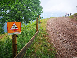 LK Tirol_Alm_web © LK Tirol
