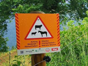 LK Tirol_Alm_web.jpg © LK Tirol