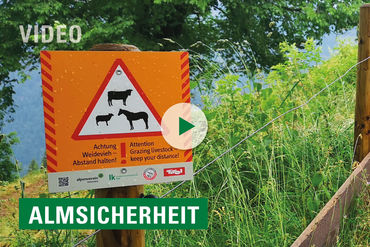 video_substart_almsicherheit2020 © LK Tirol