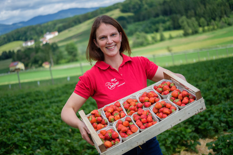 Erdbeeren und Mensch ©Danner.jpg