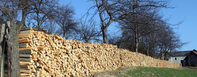 Web Header Bioökonomie © Kasimir Nemestothy / LK Österreich Web Header Bioökonomie © Kasimir Nemestothy / LK Österreich