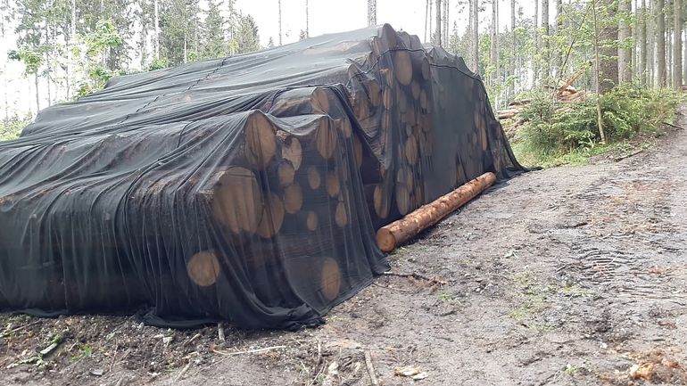 Storanet.jpg Storanet.jpg