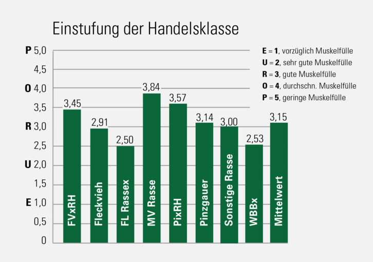 Grafik Kälberprojekt.png