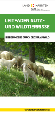 Leitfaden Wildtierriss.png © Land Kärnten
