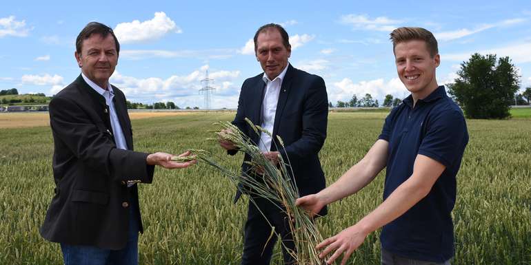 Presseerntefahrt 2020 im Burgenland Präsident Nikolaus Berlakovich Präsident Josef Moosbrugger und Ackerbauer Maximilian Wohlfarth lk burgenland.jpg