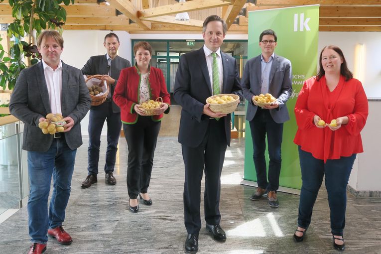 Foto_Heimische Bauern sichern Versorgung mit besten Erdäpfeln.jpg © Christina Spangl/LK Niederösterreich