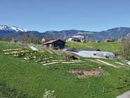 Hanglage (c) Metzler Regina.jpg © LK Vbg Hanglage (c) Metzler Regina.jpg © LK Vbg