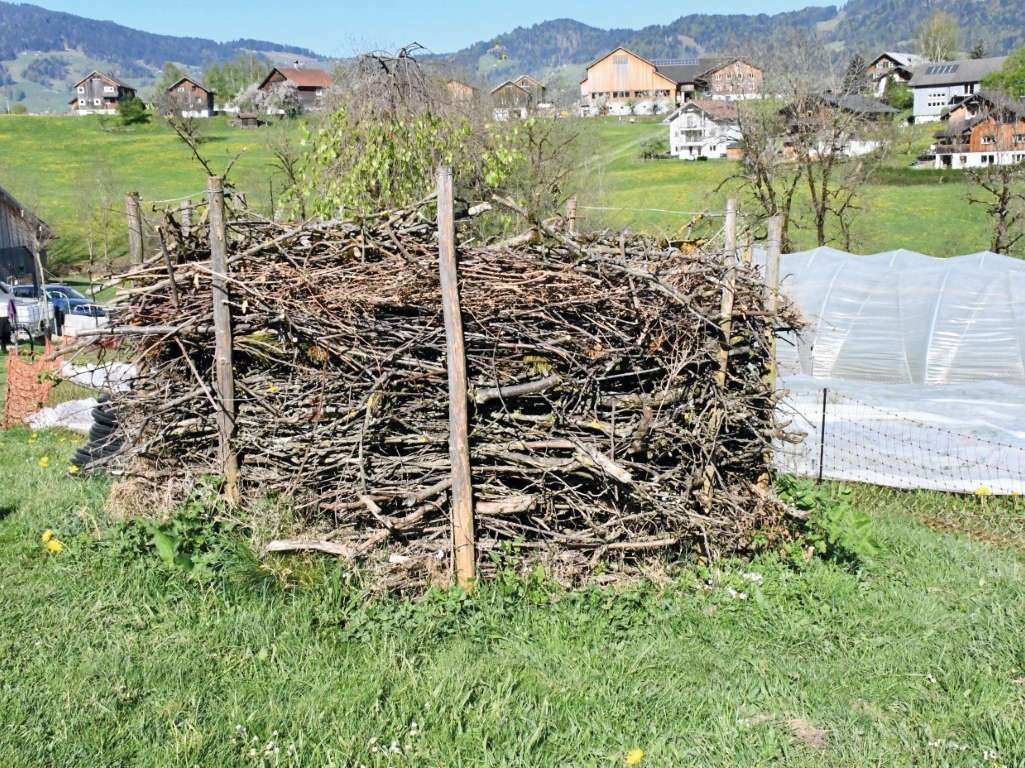 Nützlingsheim (c) Metzler Regina 1_4c.jpg © LK Vbg Nützlingsheim (c) Metzler Regina 1_4c.jpg © LK Vbg