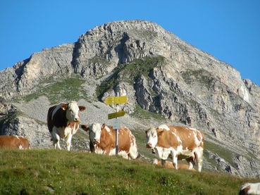 DSCN5723.jpg © Archiv